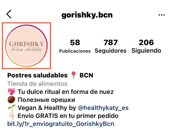 Bio del Instagram de Gorishky